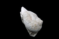 Trochonerita mammaeformis